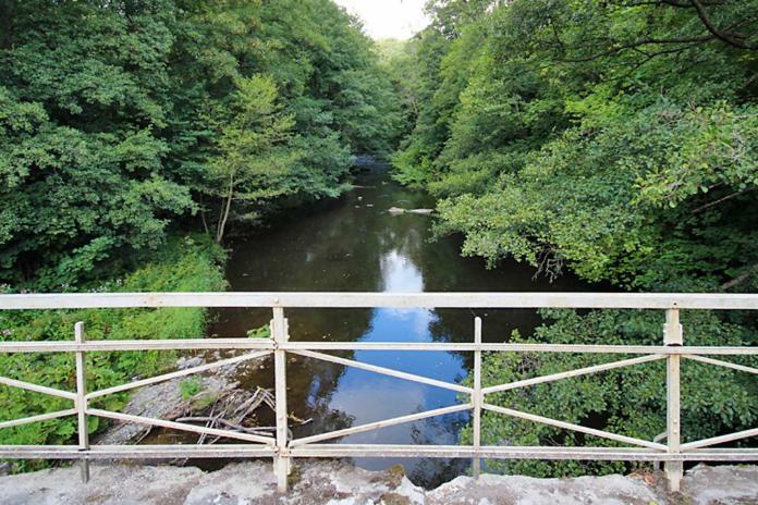 Ferienwohnungen Im Harz Altenbrak Buitenkant foto